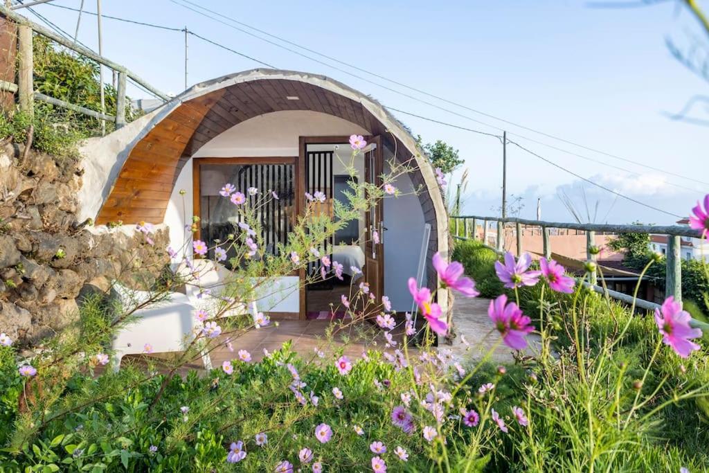 Espacio Antares Icod De Los Vinos Exterior photo